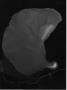 gal/photogramme/_thb_antoine.jpg