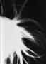 gal/photogramme/_thb_virginie_2.jpg